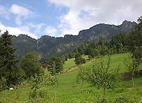 Gasthof Woell Alpbach Exteriör bild