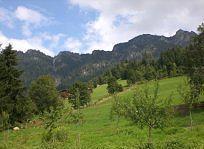 Gasthof Woell Alpbach Exteriör bild